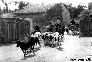 Encierro a la altura de la Plaza con la calle Del Prado