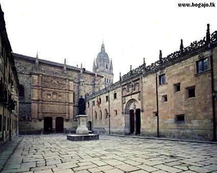 Universidad de Salamanca. Pinchando sobre la imagen podrs ver una foto detallada de su fachada (tardar en cargar, ya que ocupa 271 Kb).